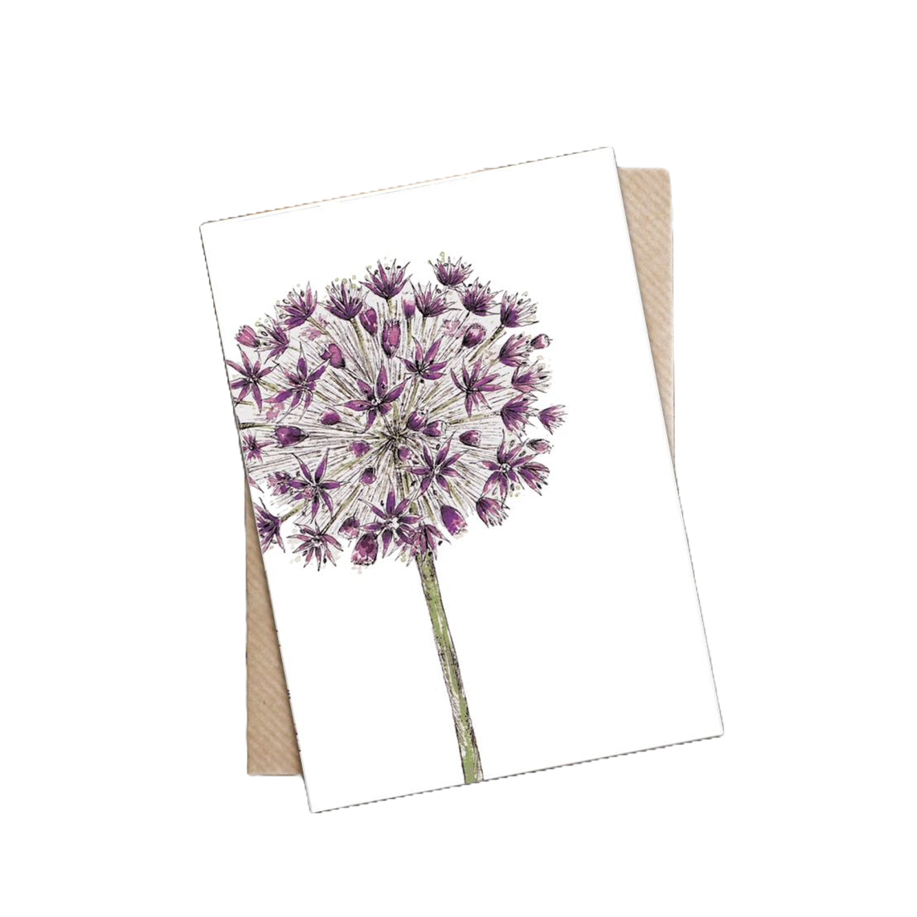 Greetings Card - Allium