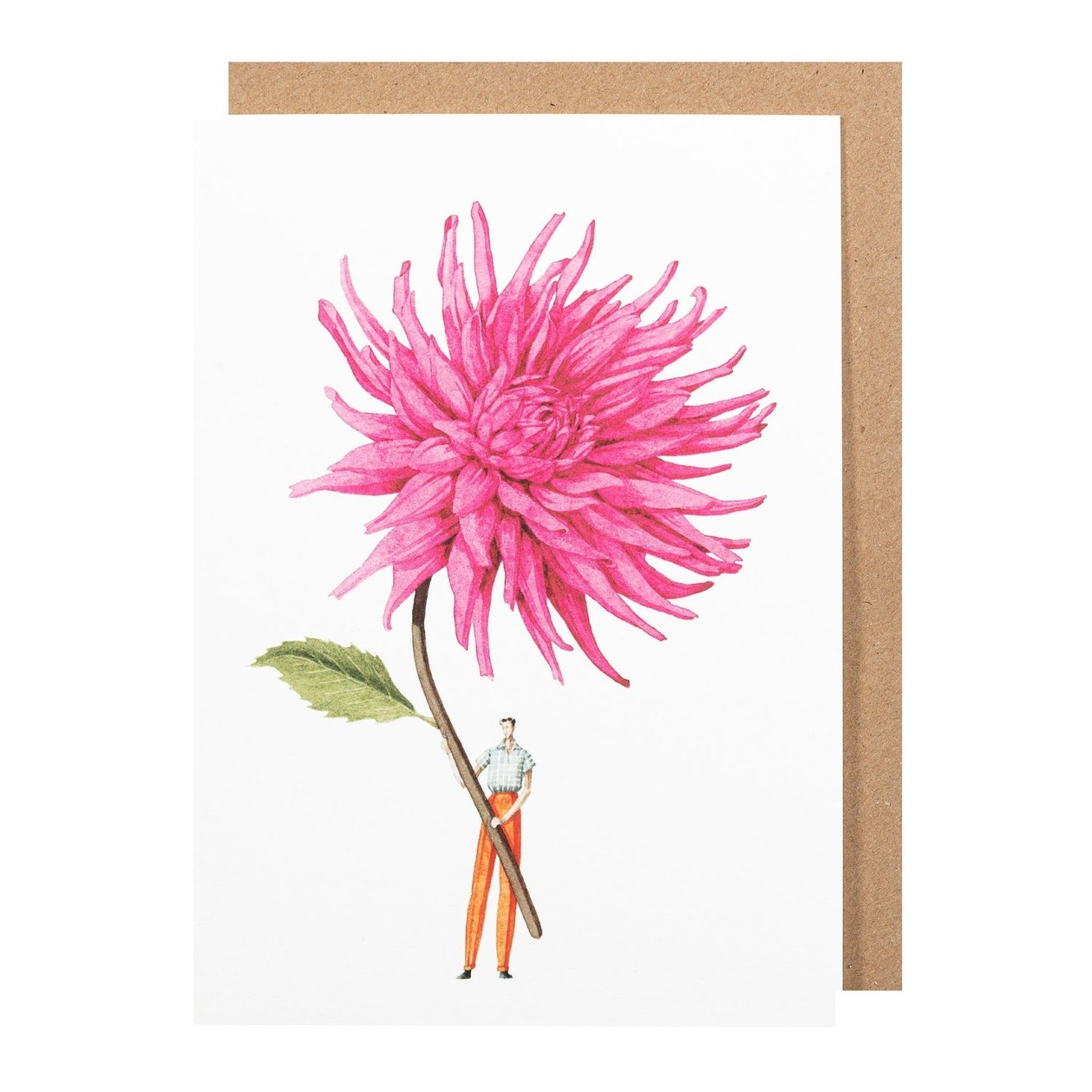 로라 스토다트 엽서 Greeting Card - Dahlia Pink