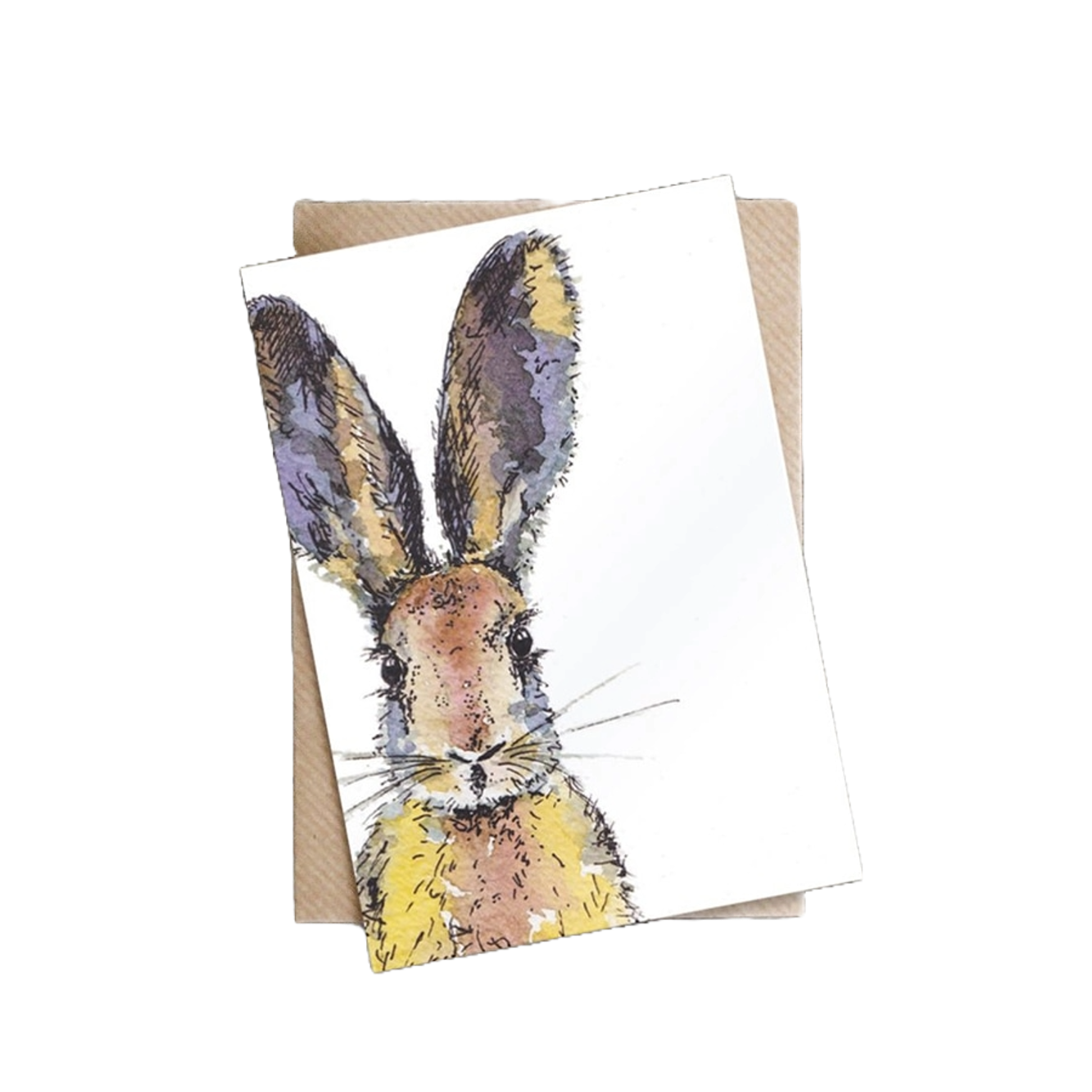 토스티드 크럼펫 엽서 Greetings Card - Coloured Hare
