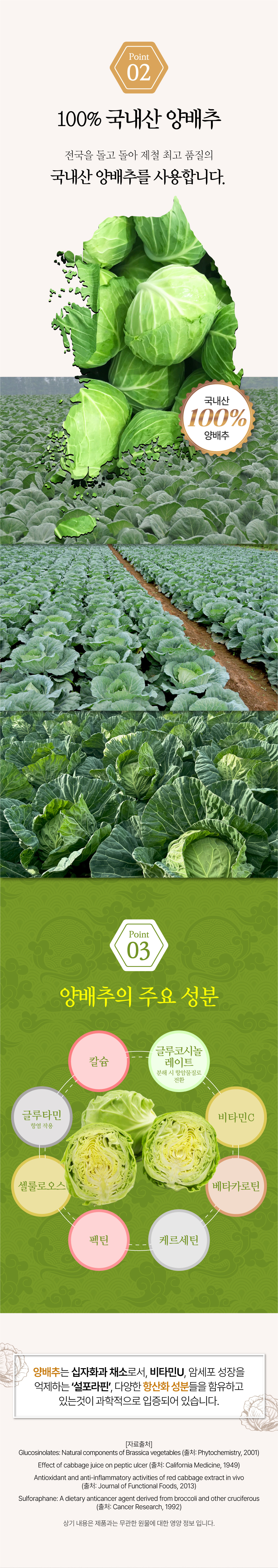 008_cabbage.jpg