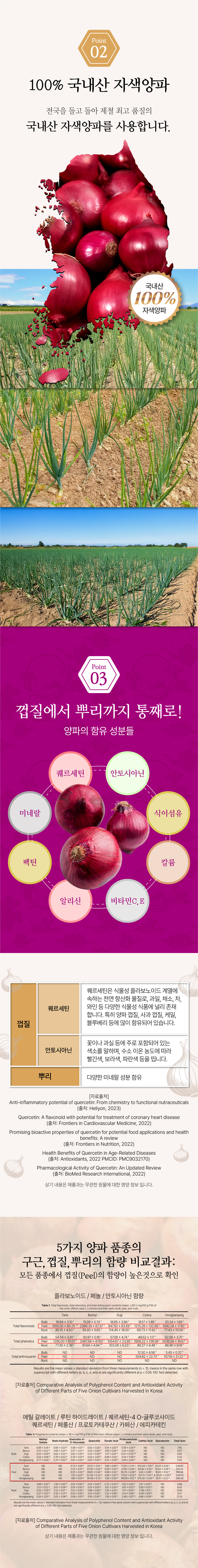 008_onion.jpg