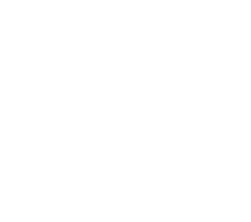 바퀴벌레