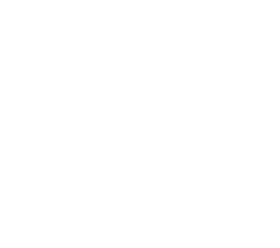 포충