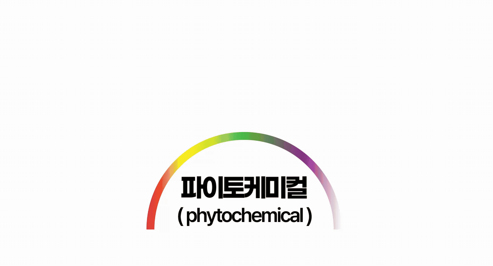 올라잇그린 상세 이미지 13