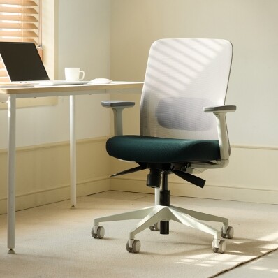 [듀오팩1BOX]듀오백 솜 SOAM 여성용 맞춤의자 사무용 컴퓨터 허리편한 책상 의자