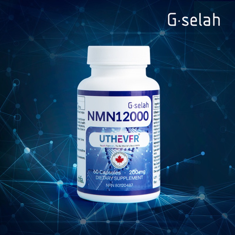지셀라 NMN 12000 (60캡슐) 고순도 nmn 영양제 역노화 니코틴아미드