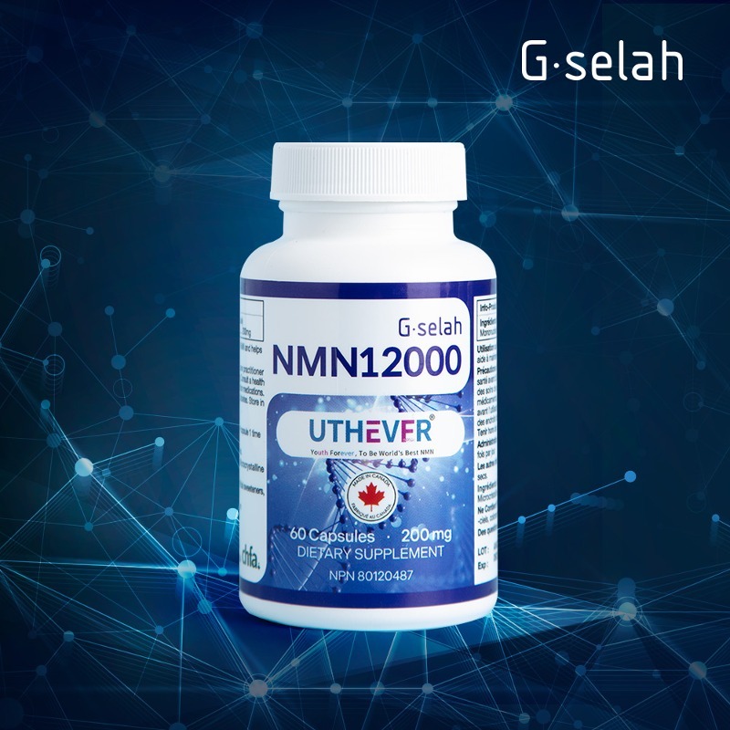 [1개월분] 지셀라 NMN 12000, NAD+수치를 높이는 (60캡슐), 항노화영양제