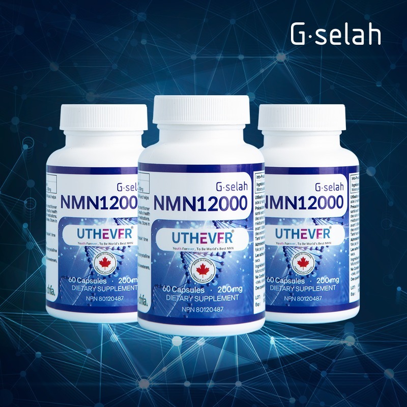 지셀라 NMN 12000 3개월분 (60캡슐x3) 고순도 nmn 영양제 역노화 니코틴아미드