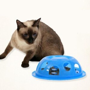 TPO파이오니아펫 고양이 식기 블루 자율 급식 배식 노즈 워크