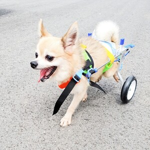 TPO애구애구 강아지 휠체어 보행기
