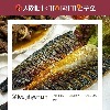 [lee.jihyem.m 공동구매] 11월 02일(목)-11월 04일(토), 3일간 99.9% 가시제거 순살 고등어/가자미 (무료배송)