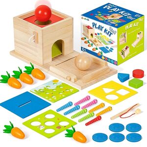 5-in-1 Wooden Play Kit Montessori Toy - Object Permanence Box Coin Box Carrot P3644763