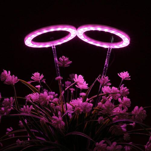 엔젤링 화분 LED 식물등(2헤드) (핑크) 식물성장 생장