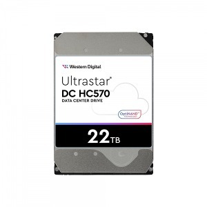 Western Digital WD Ultrastar DC HC570 7200/512M (WUH722222ALE6L4, 22TB)