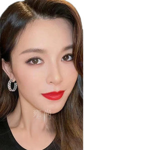 Wen Yongshan 스타일의 귀걸이 사라지는 그녀의 원형 튼튼한 지르콘 여성용