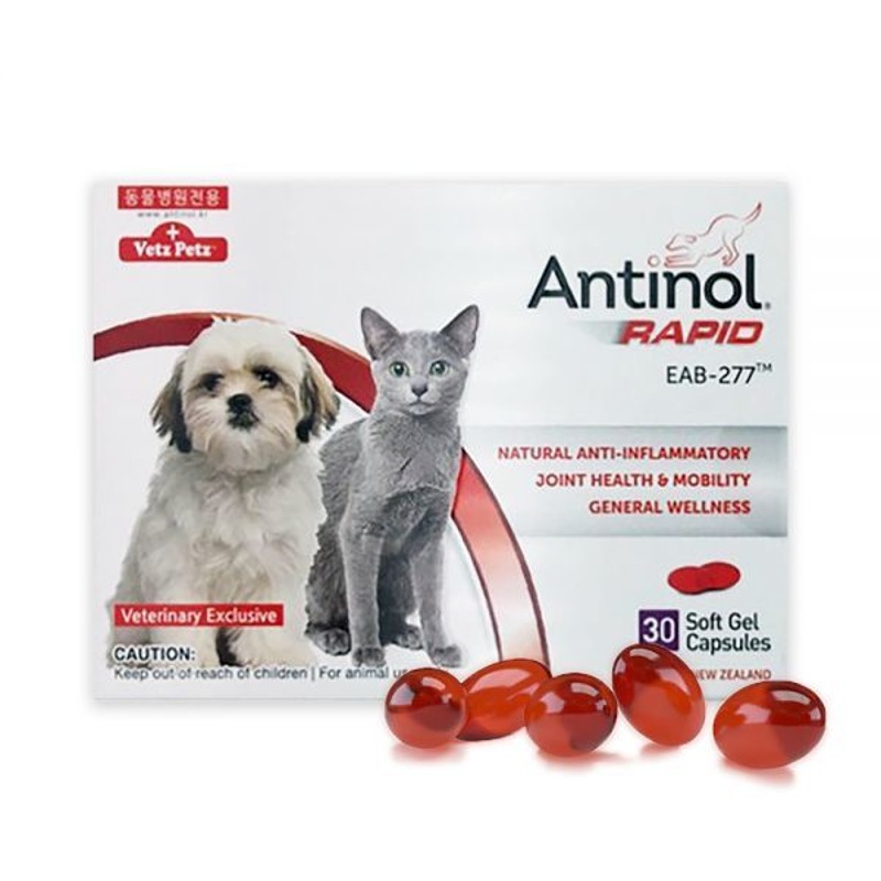 [DOG&amp;CAT] 안티놀 RAPID Antinol 30정 (크릴오일과 초록입홍합이 함유된 100%천연 관절 치료 영양제)