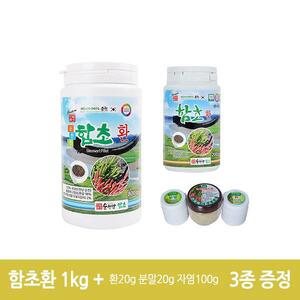 진짜배기 순천만함초 환1kg(800g+200g) + 미니3종 증정