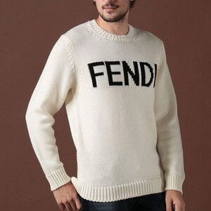 [FENDI] 펜디 로고 울 스웨터 2color