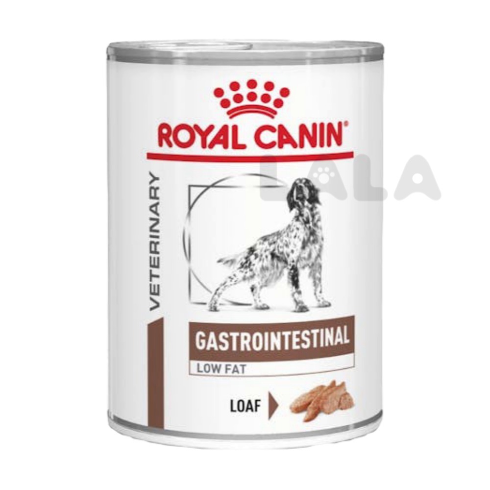 로얄캐닌 독 가스트로인테스티널 로우팻 캔 420g(low fat 인테스티날 로우펫)