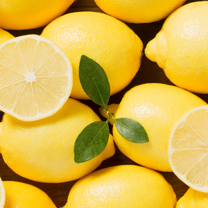 [직수입]미국 레몬 생과 중소과(개당 105g내외) 수량별
