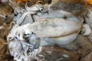 [포항] 급냉 무늬오징어 1kg
