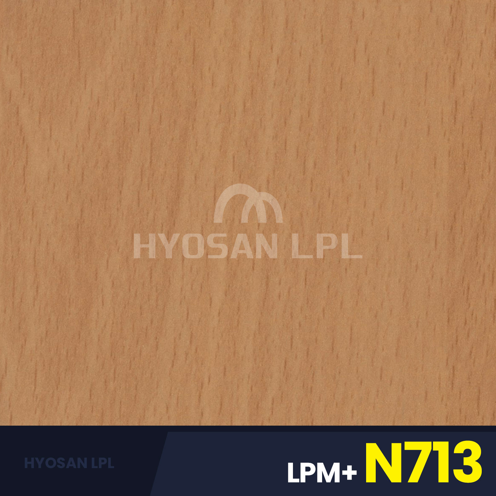 LPM+N713