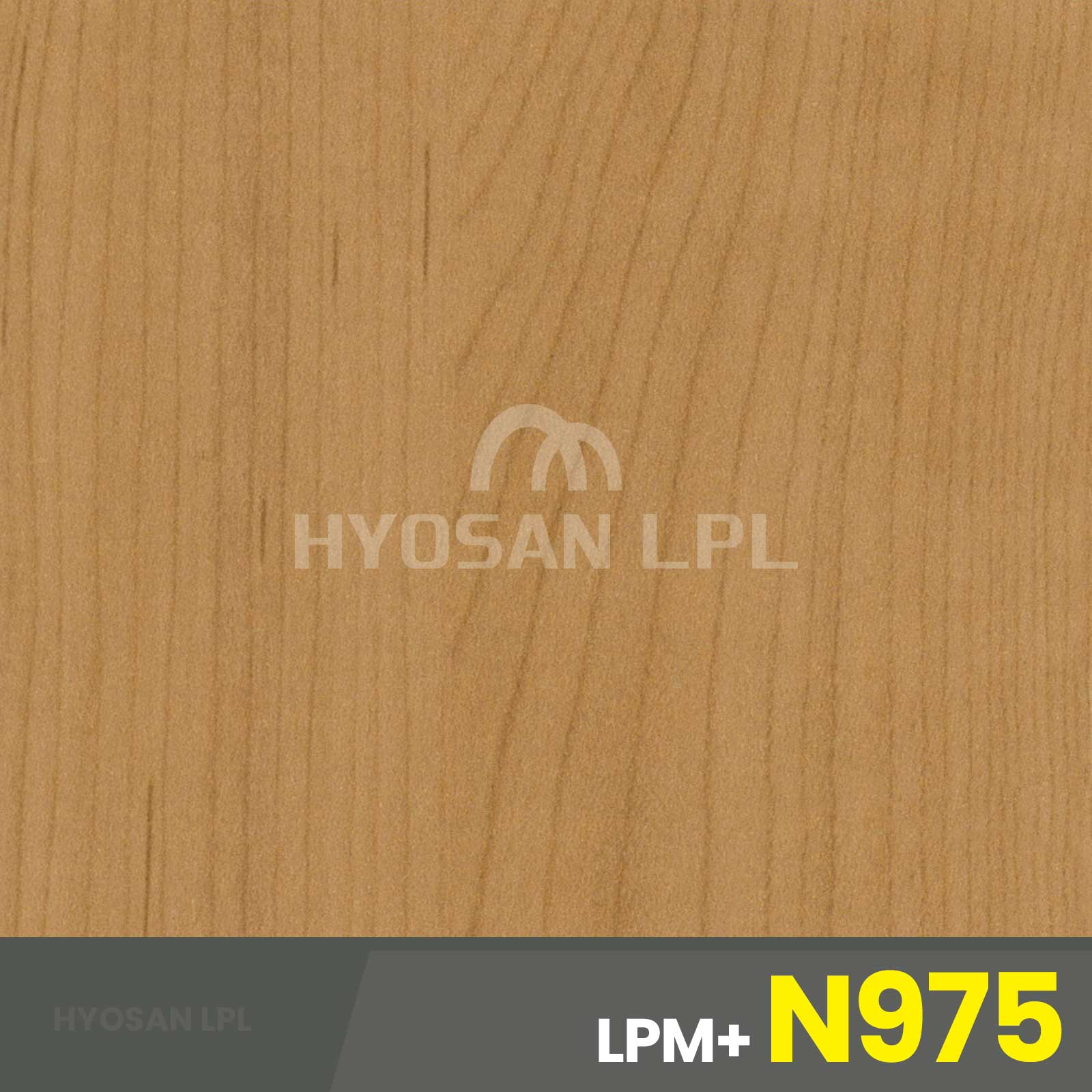 LPM+N975