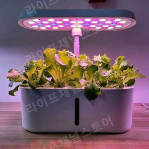 가정용 스마트팜 LED 식물 재배기 수경 재배 무토양 원예