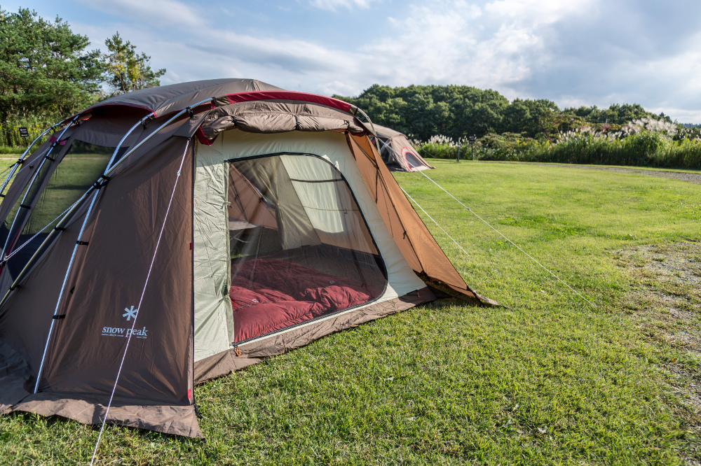 재킷 바이올렛 색상 이미지-S11L31