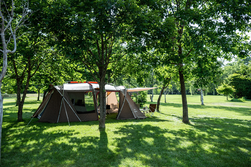 재킷 상품상세 이미지-S11L6