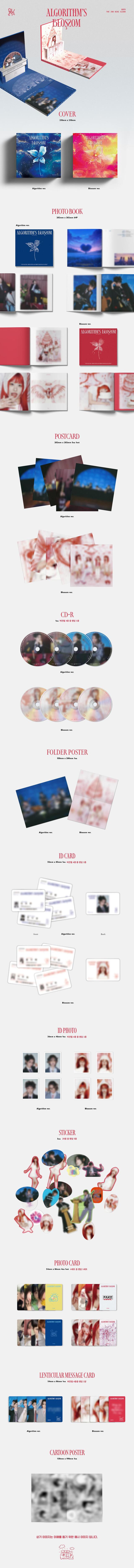 The 2nd Mini Album 'Algorithm's Blossom' (Set) - QWER SHOP