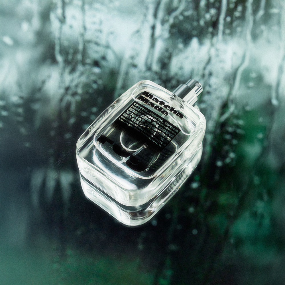 Magnetic Santal moments - hausFOG
