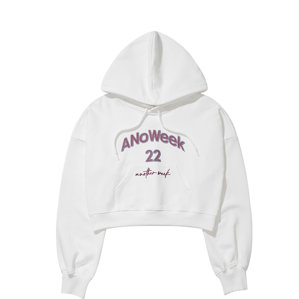 ANW EMBROIDERY CROPPED HOODIE