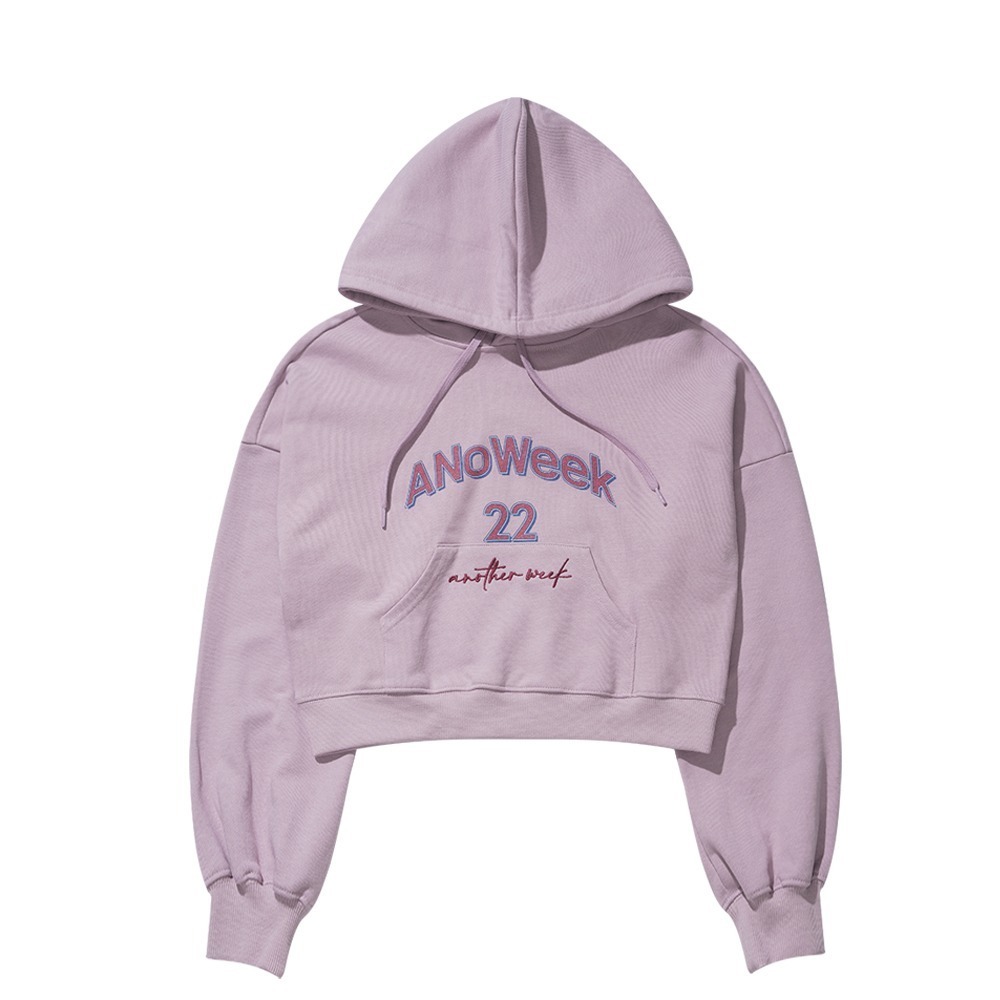 ANW EMBROIDERY CROPPED HOODIE