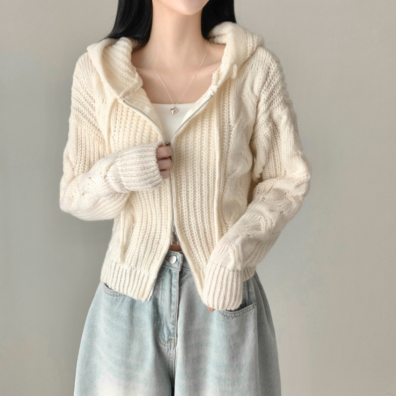 카디건 모델 착용 이미지-S1L16