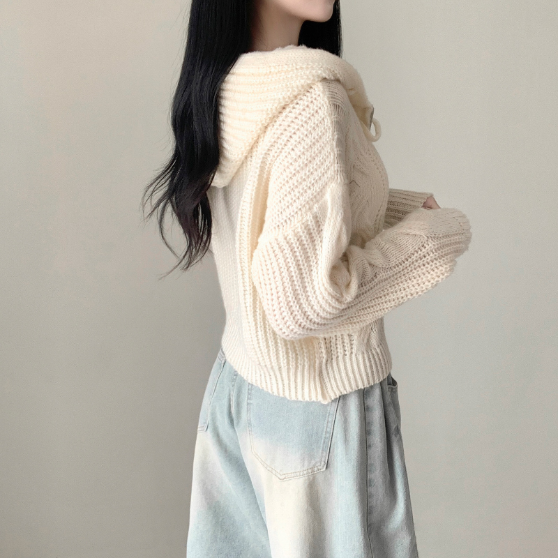 카디건 모델 착용 이미지-S1L20