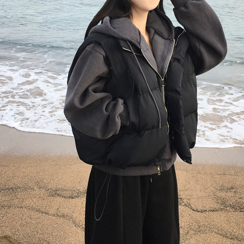 ANAYI リバーシブルダウンベスト 楽天市場】Patagonia パタゴニア Ms Reversible Bivy Down Vest