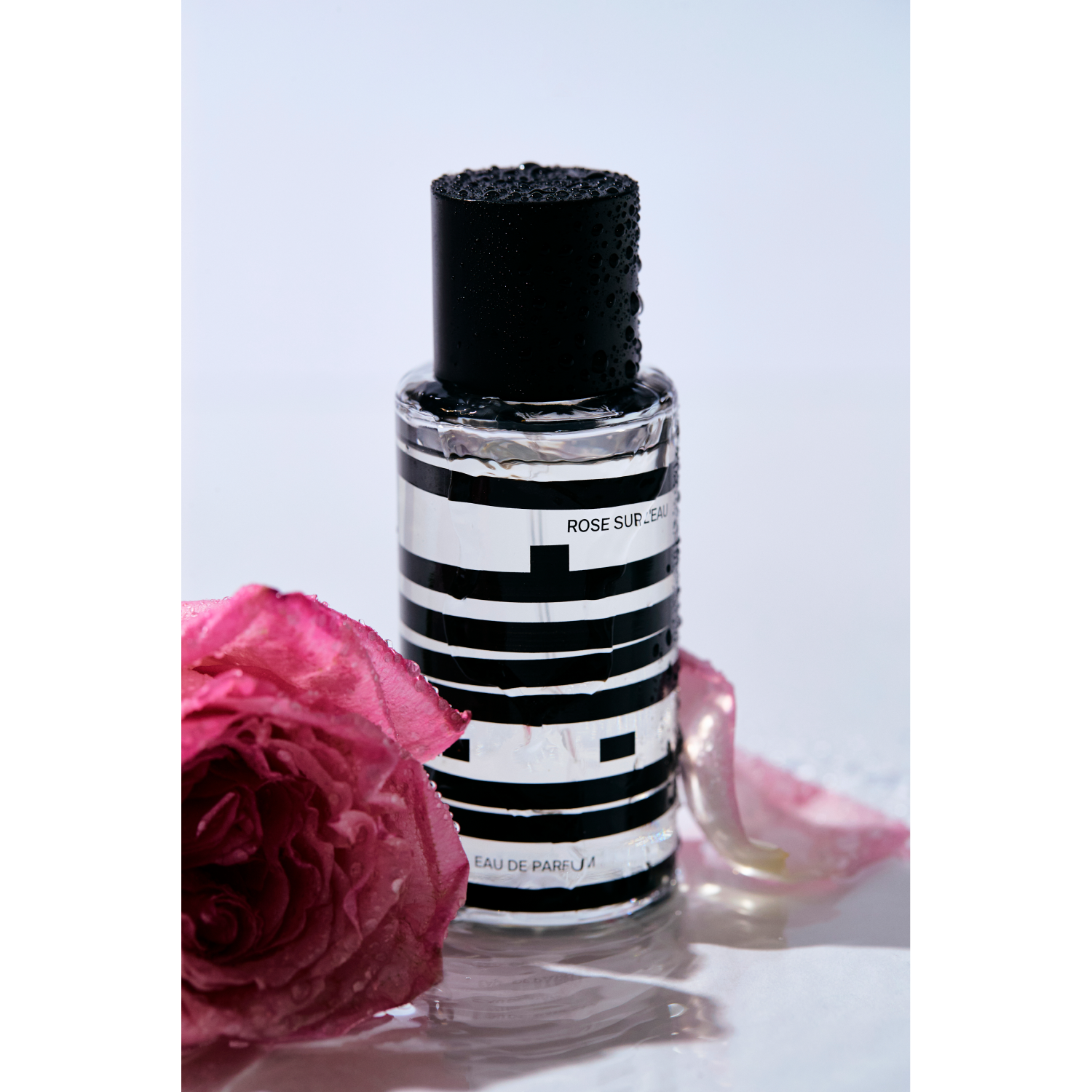 ROSE SUR L'EAU