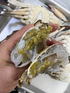 활숫꽃게 2kg