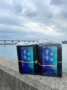 삼동파구례님