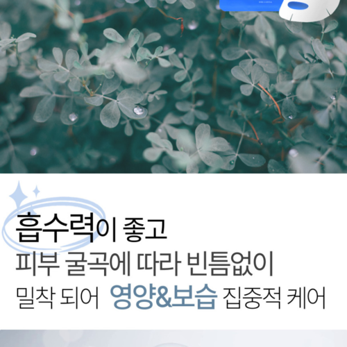 나마네 B5 탱글 마스크팩 30mlx10ea