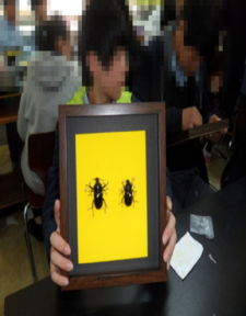 [자연체험] 곤충표본 액자 만들기 체험교실