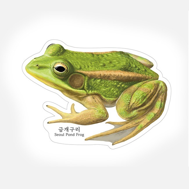 금개구리 멸종위기 반려 투명 북마크