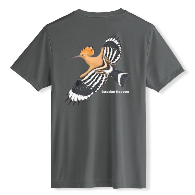 Birder 드라이라운드 후투티 기능성 T셔츠_Grey