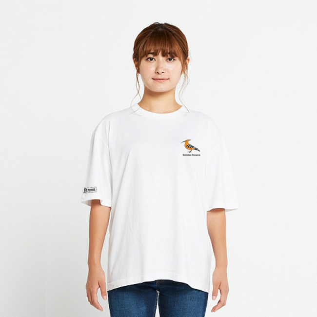 이미지 2