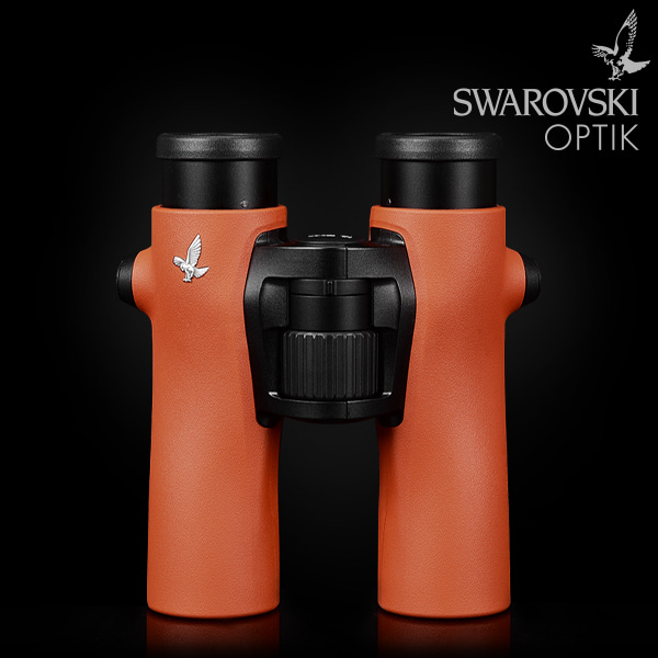 SWAROVSKI NL 퓨어 8x32 WB 번트 오렌지 쌍안경