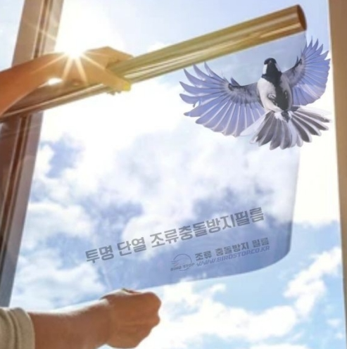 图片 2