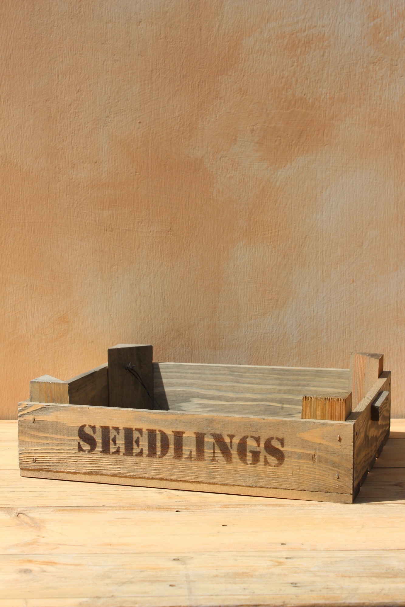 Seedlings Tray