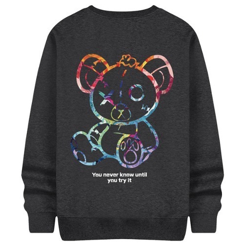 Painted Plush Bear Sweatshirt