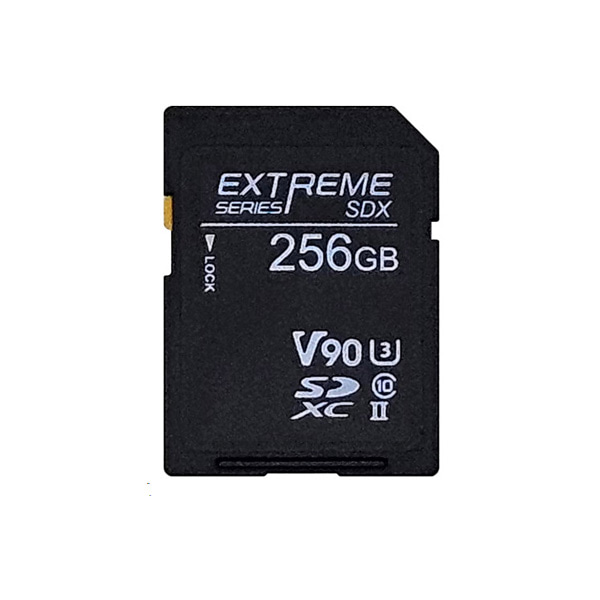 노바칩스 NP467C256GZX3 EXTREME SDX V90 256GB